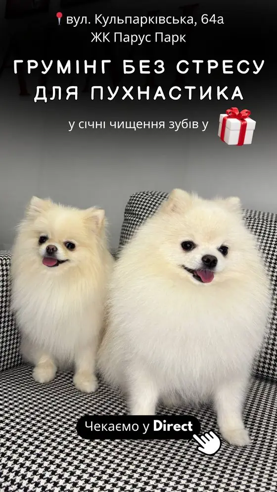 Приклад реклами в Instagram Stories